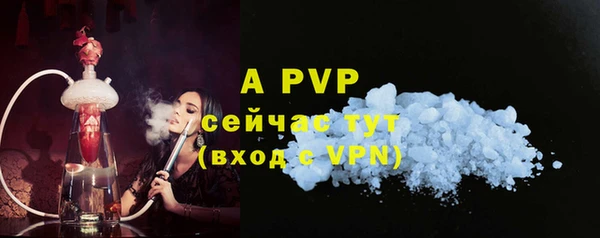 гашик Магас