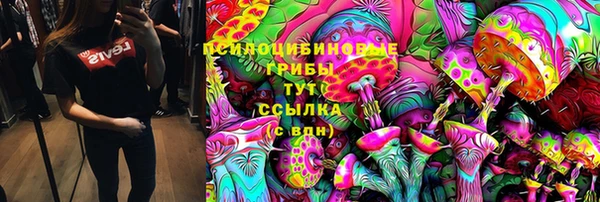спиды Магадан