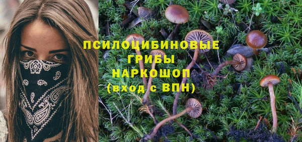 mix Майский