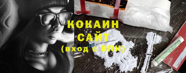 гашик Медвежьегорск