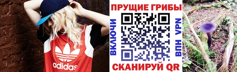 Псилоцибиновые грибы MAGIC MUSHROOMS  Михайловка 