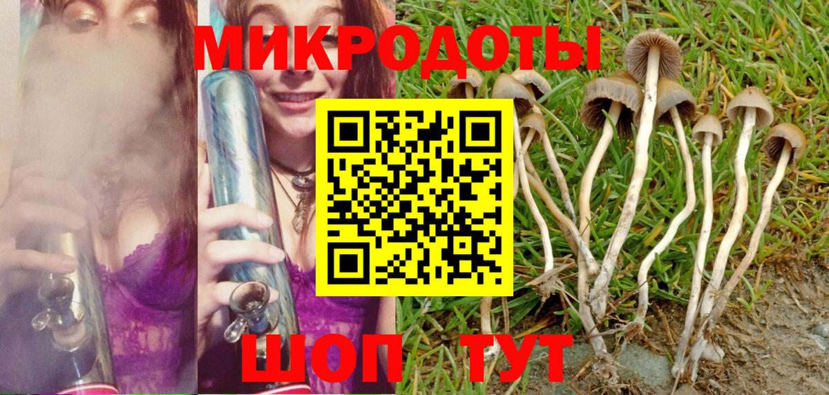 Альфа ПВП Михайловка