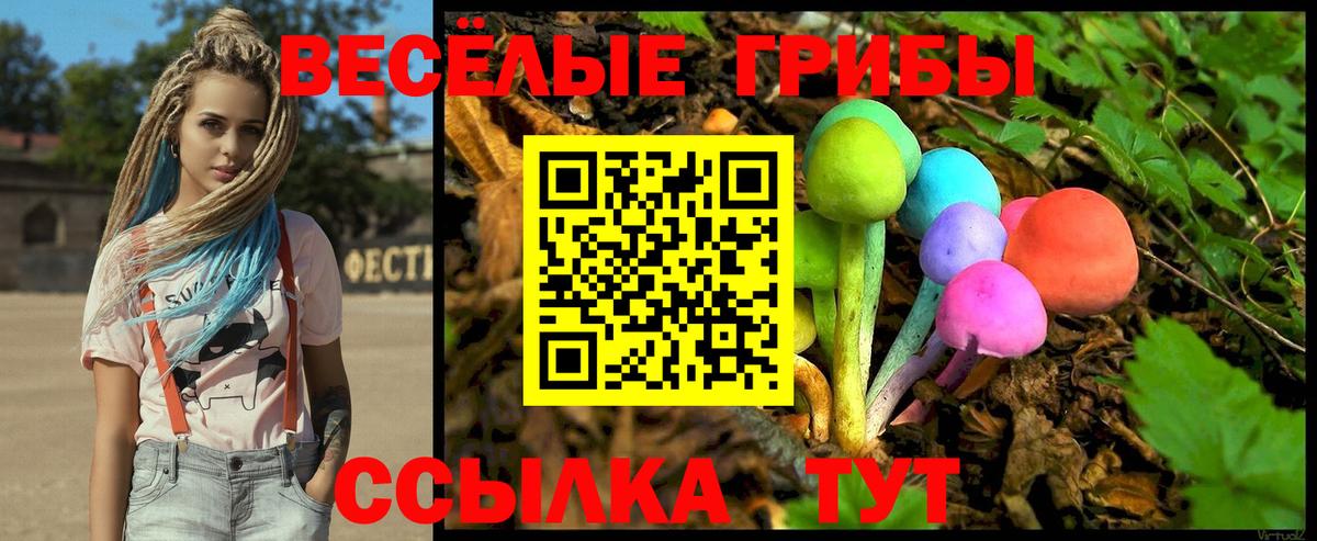 Псилоцибиновые грибы Cubensis Михайловка